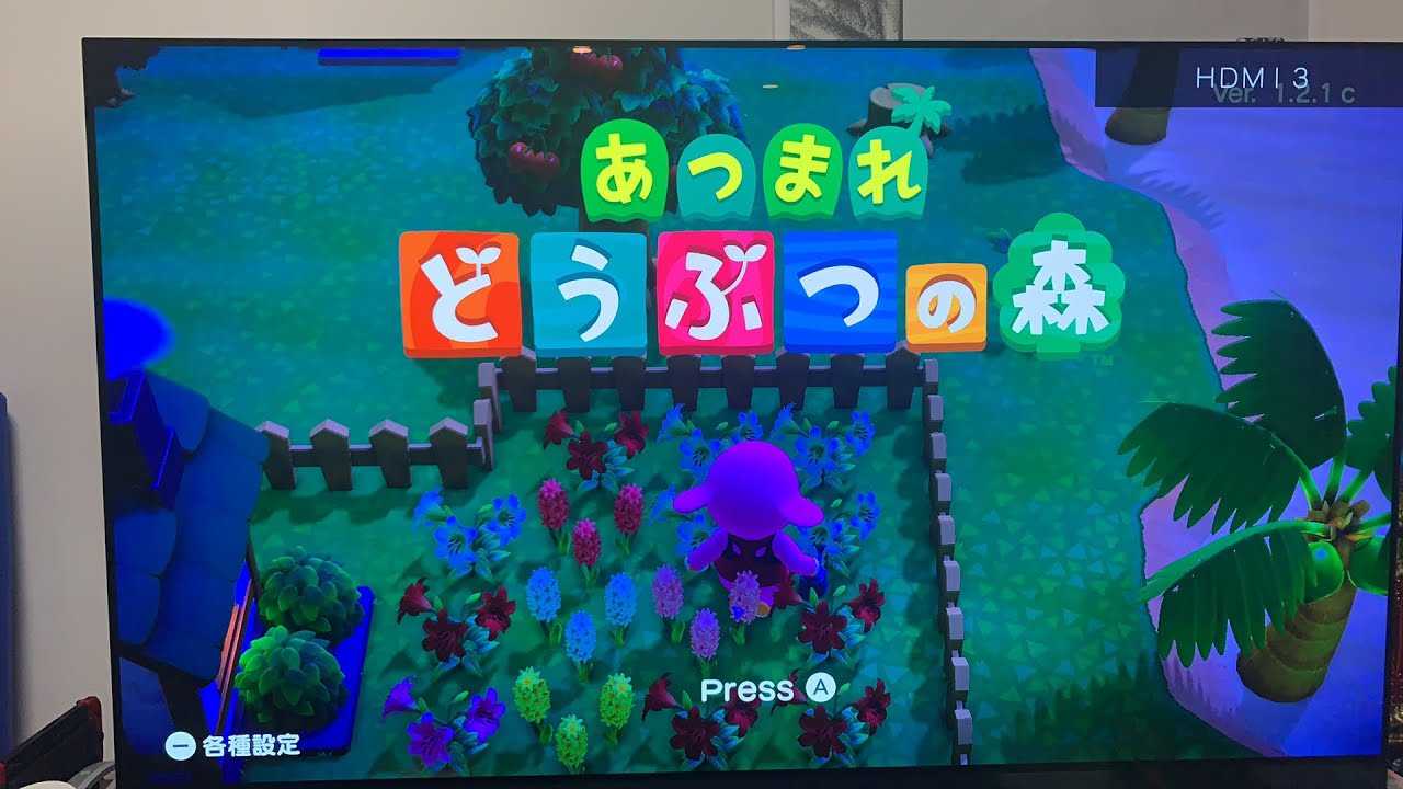 【直撮りどうぶつの森】津田の島にいくよ！！