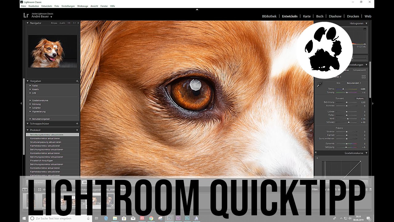 Lightroom | Hunde Augen bearbeiten mit dem Korrekturpinsel