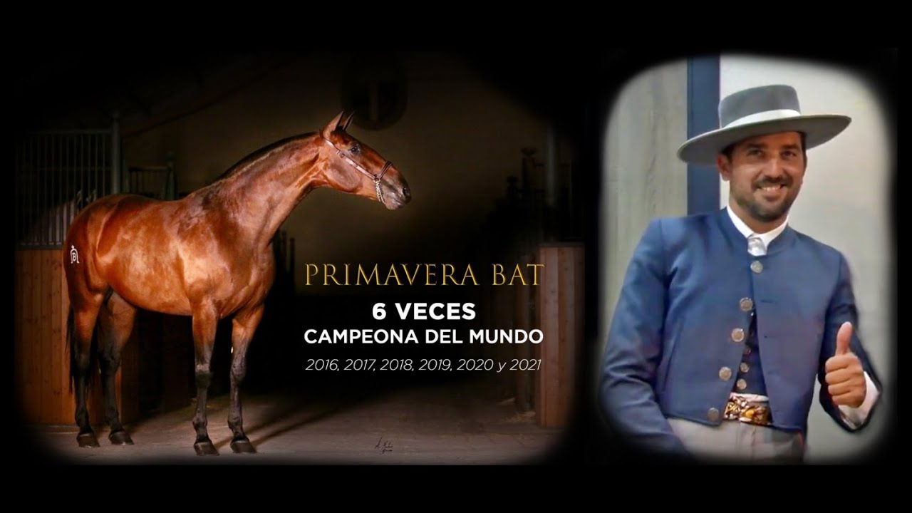“Primavera BAT es la yegua más importante de la historia con diferencia”