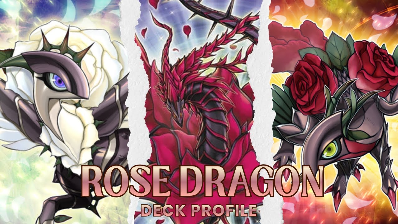 Rose Dragon Deck Profile