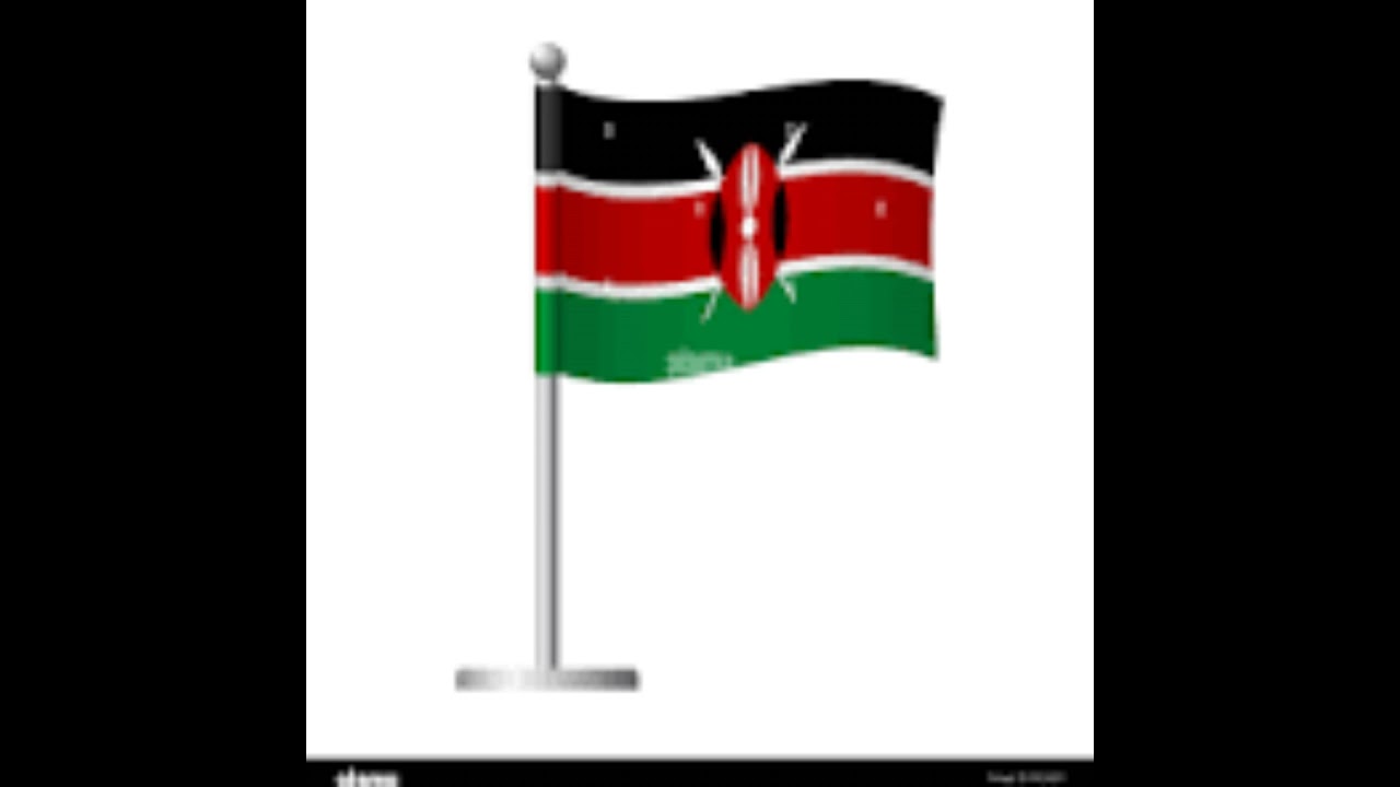 Kenya's County Governments: Roles and Responsibilities
