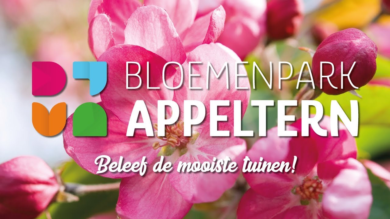Bloemenpark Appeltern | Beleef de mooiste tuinen!