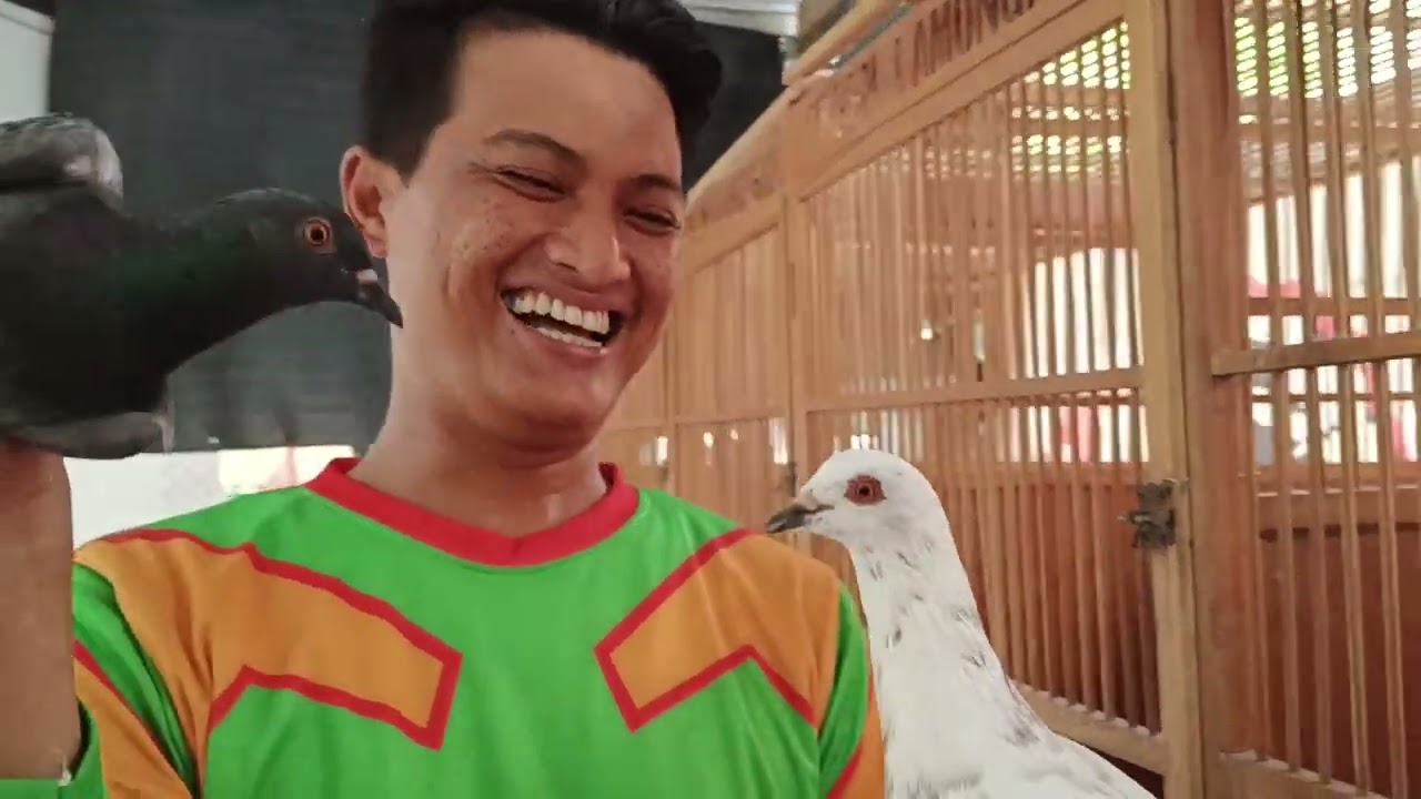 BONGKAR KANDANG RAMBO KAIS CAK GITO SBY