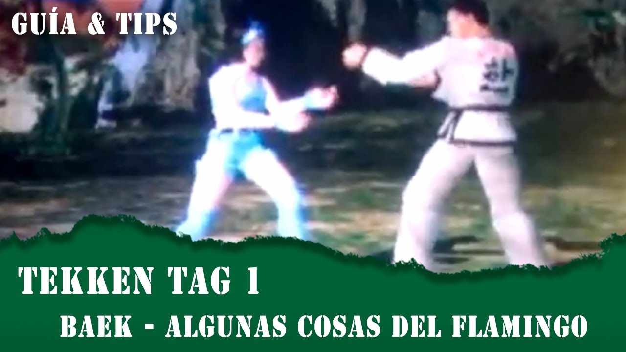 Algunas cosas del Flamingo Baek en Tekken Tag 1