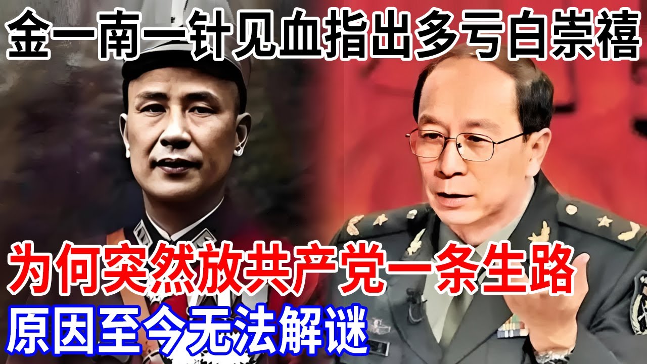 金一南一针见血，白崇禧为何突然放共产党一条生路，又为何说出一句让他流传至今的话，至今无法解谜【金一南大讲堂】