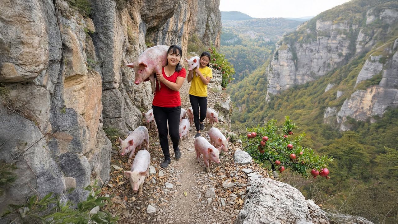 TIMELAPSE -- Inside the Harvest 1000Kg Piglets & Preparing a Giant 100kg Pig Feast for Whole Village