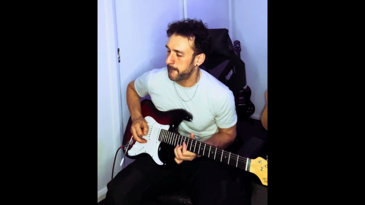 Taylor Swift - I knew you were trouble (guitar cover)