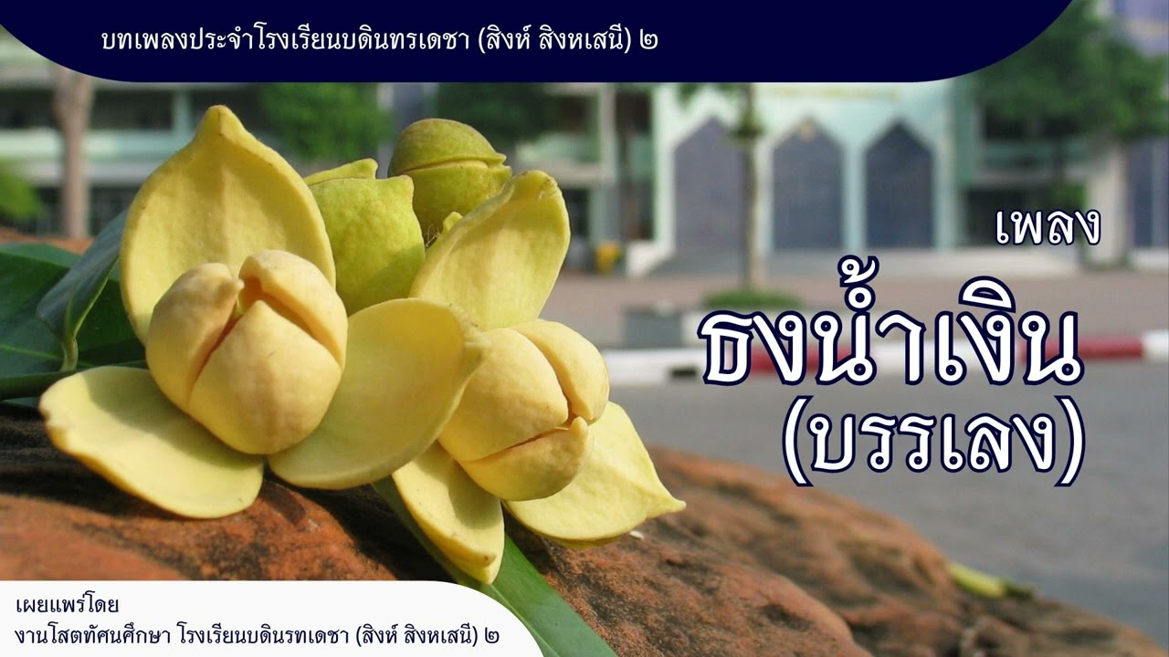 ธงน้ำเงิน (บรรเลง)
