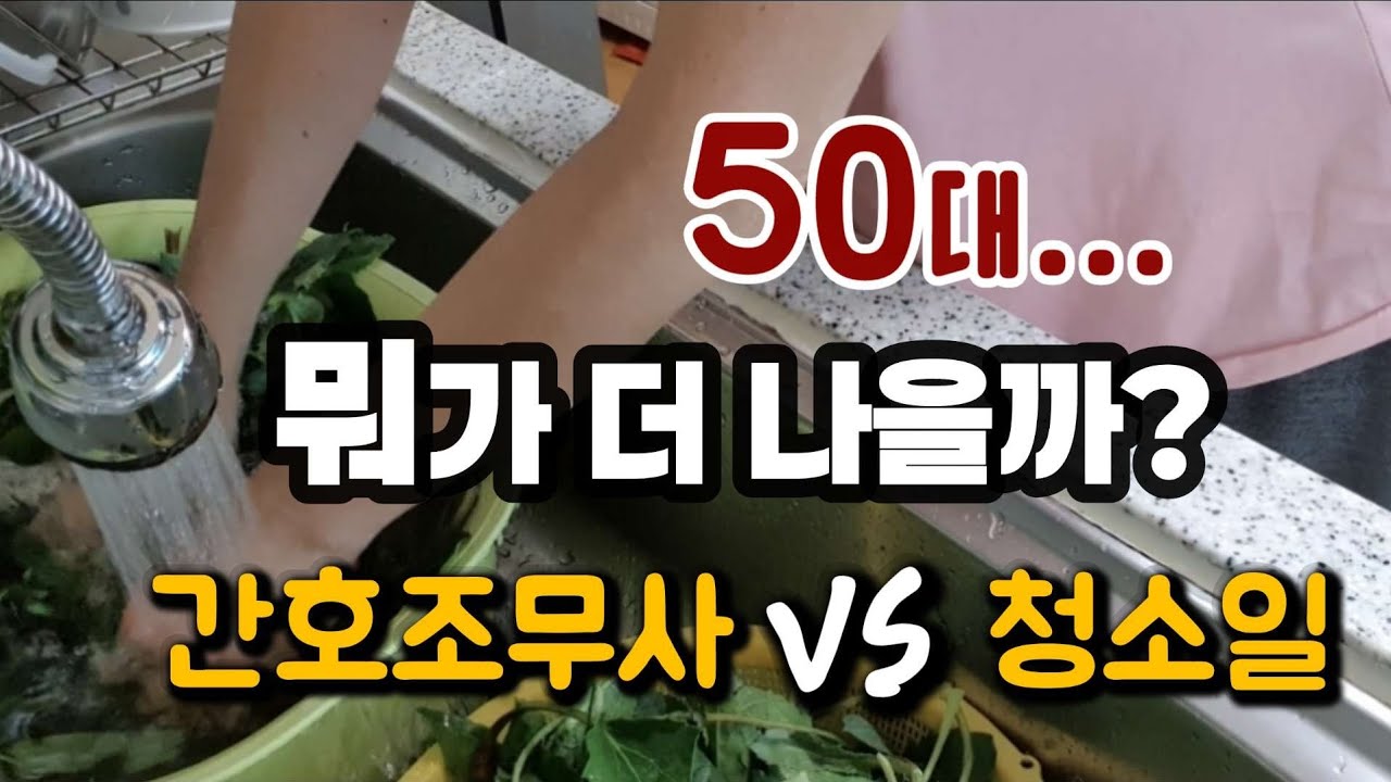 50대 재취업, 간호조무사 vs 청소일 직접해보니...