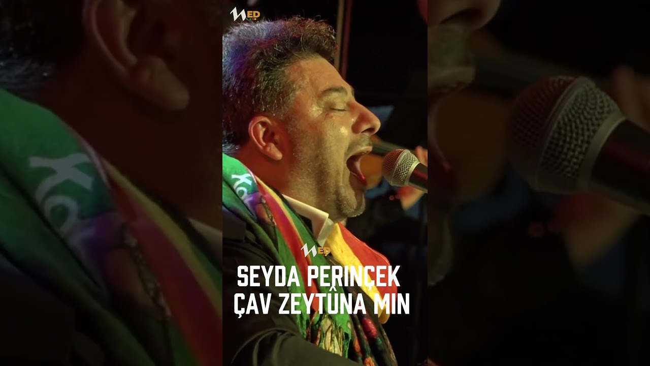 Seyda Perinçek - Çav Zeytûna min | LİVE PERFORMANCE © 2024 #kurdi #medhuner #music #muzik