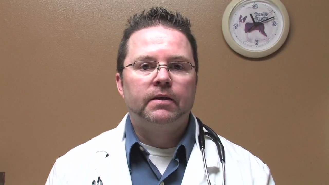 Canine Diseases & Treatment : First Aid for Dog Vomiting