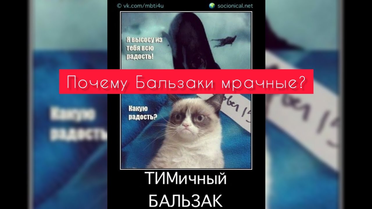 Почему Бальзаки мрачные?😱