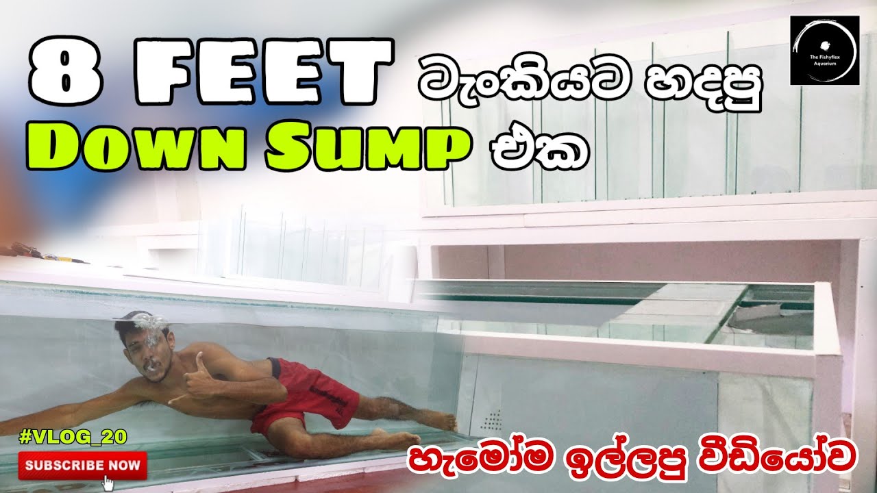 How to make a sump tank | 4ft sump tank for my 8ft Aquarium - #VLOG_20 | The Fishyflex