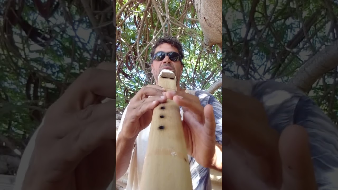 Drone flootin in the Tree 🌲☮️❤️🙏🌞🪈🪈🪈