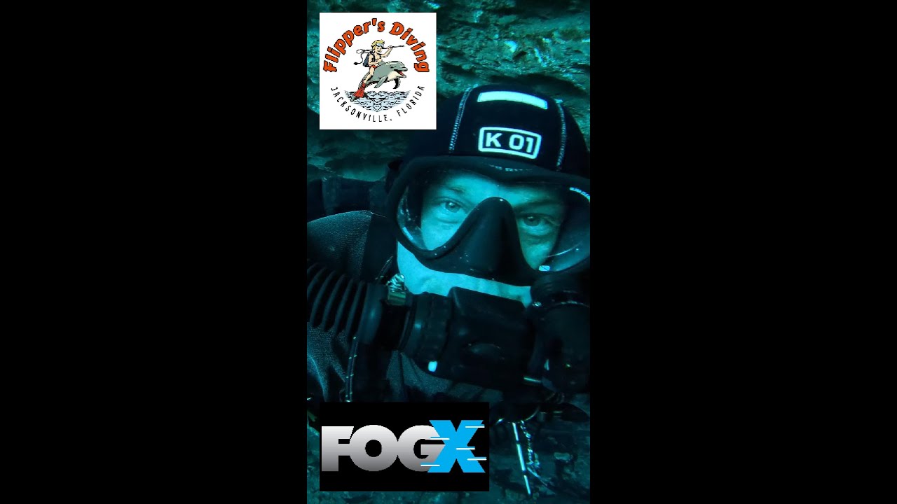 FogX   Flipper's Diving
