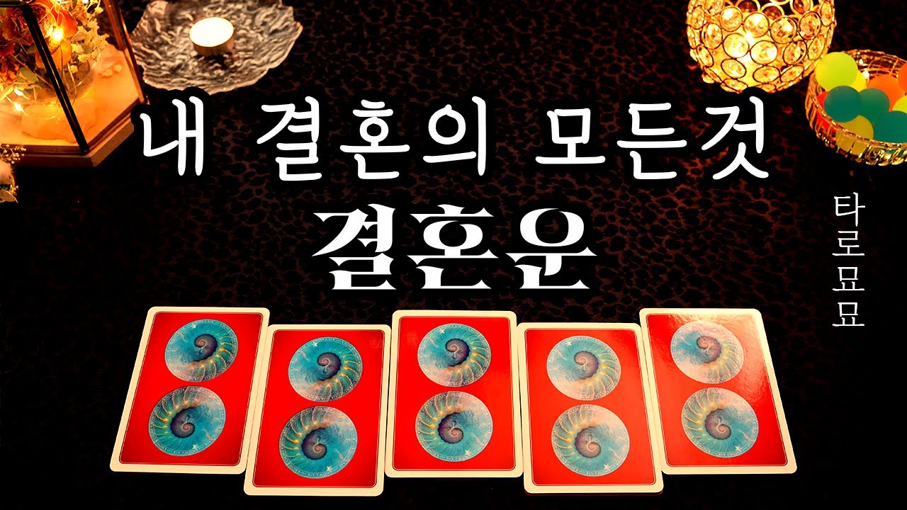 [타로] 내 결혼의 모든것 | 결혼운