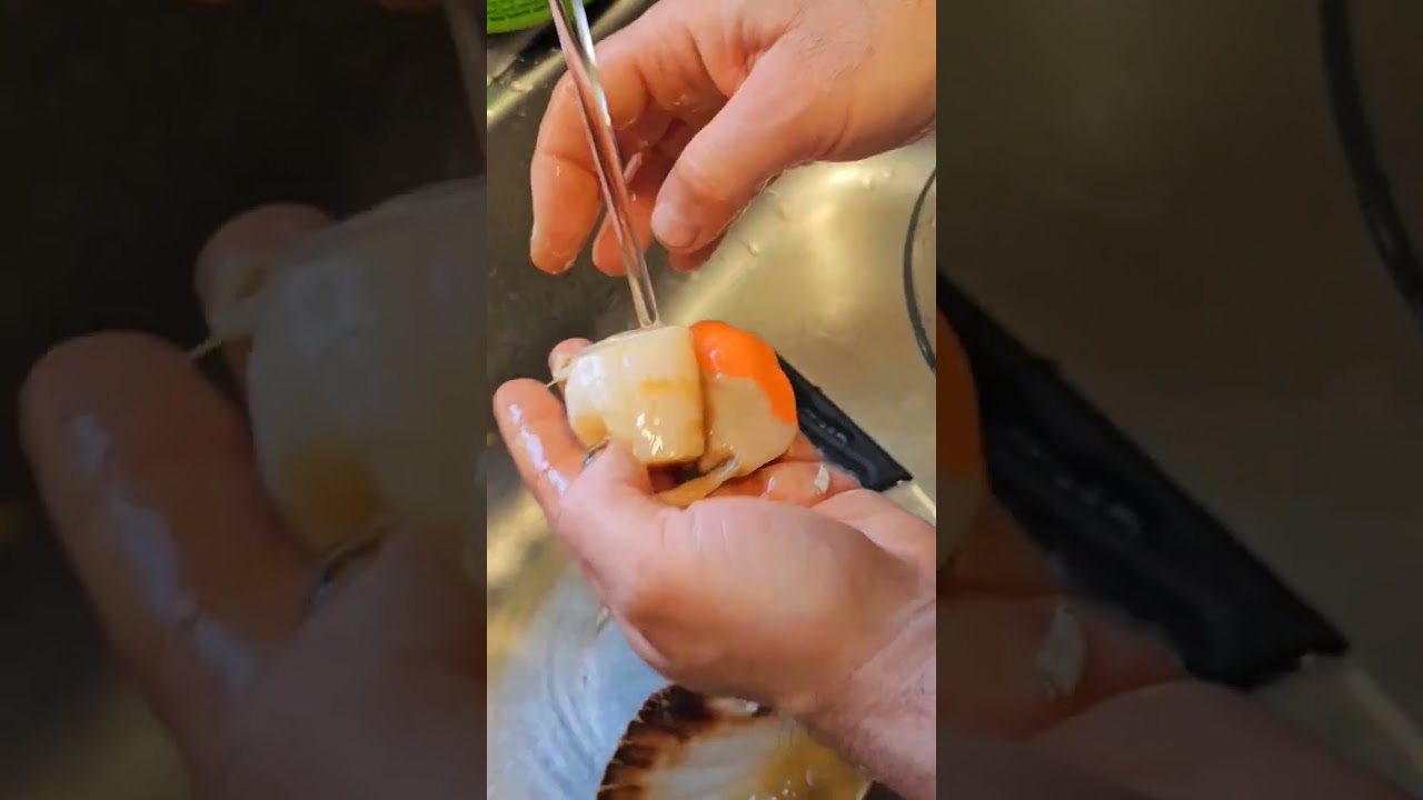 Как приготовить гребешки. Часть 2 #foodshorts #shorts #scallops #cookingchannel #cookingvideo #asmr