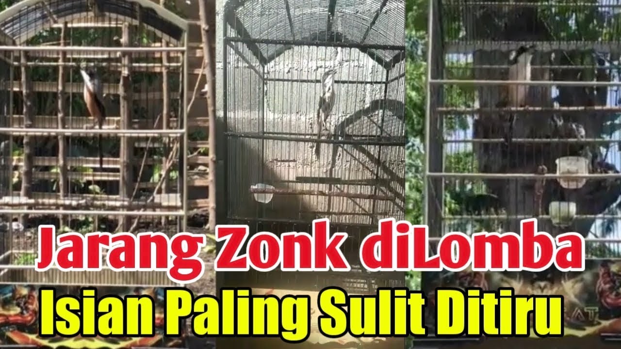 CENDET SEPERTI INI ISTIMEWA, JARANG YANG PUNYA
