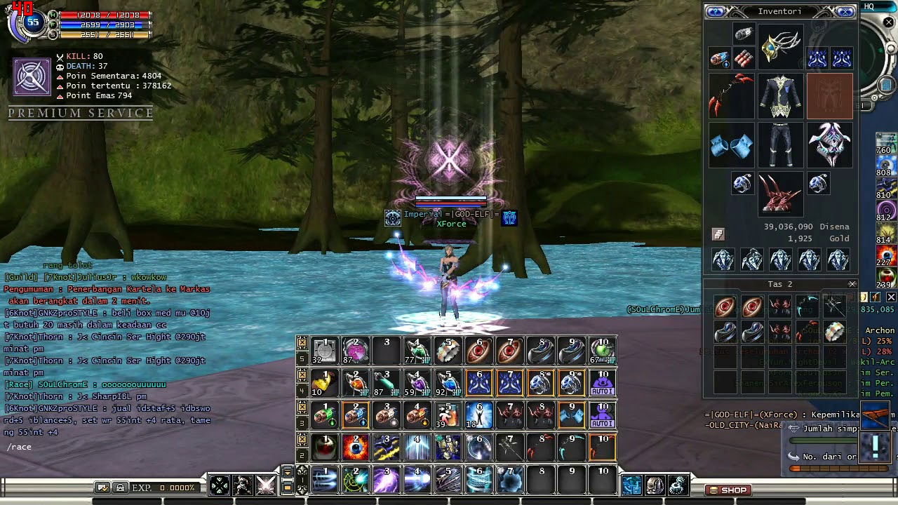 Perfect Hit & Run - Team Strike - Cora - Archer - XForce - RF Online Cap 55