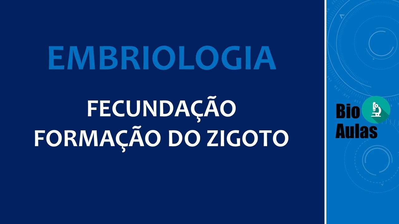 Fecunda&ccedil;&atilde;o: Forma&ccedil;&atilde;o do Zigoto (Embriologia Humana) - Bio Aulas