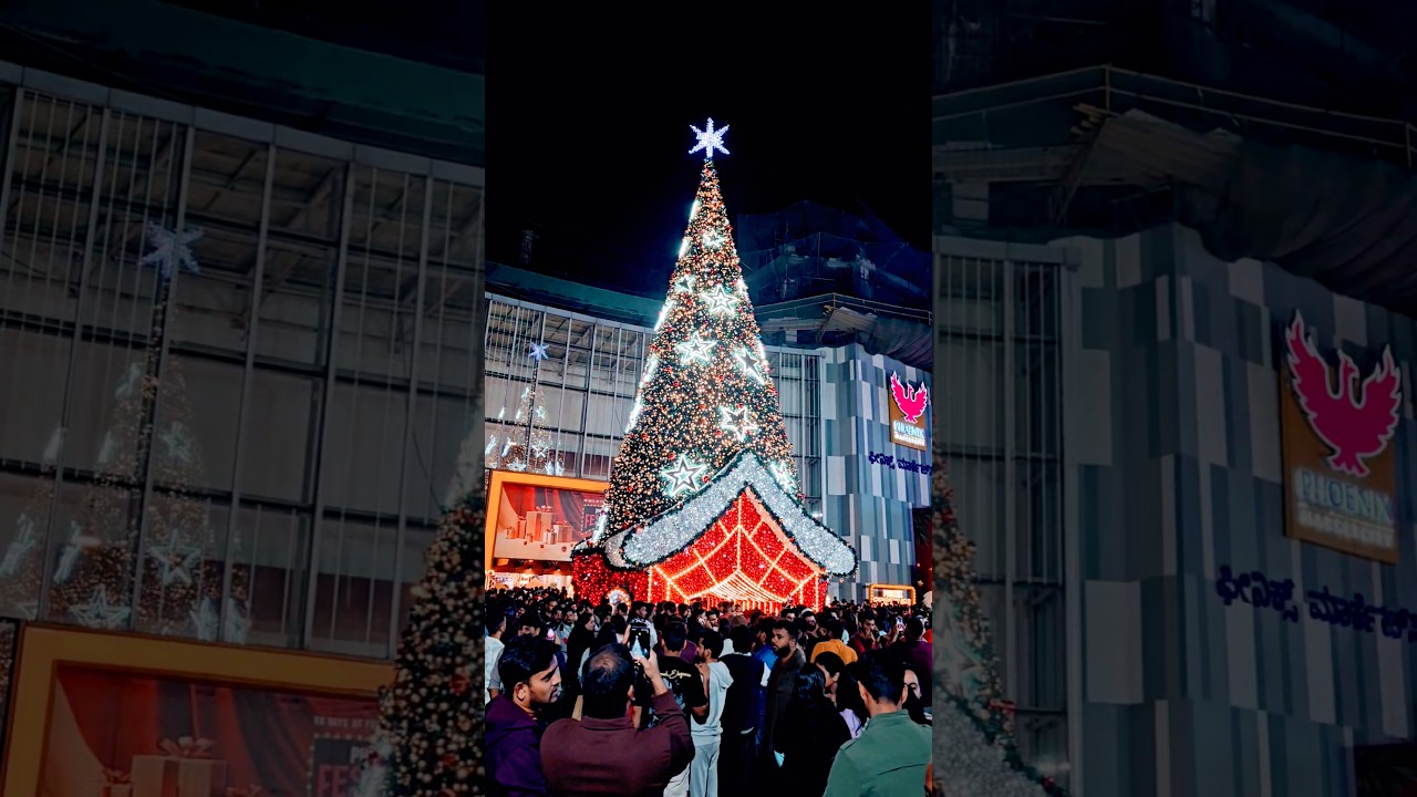 Twinkling lights, festive delights, and a Christmas tree that steals the show 