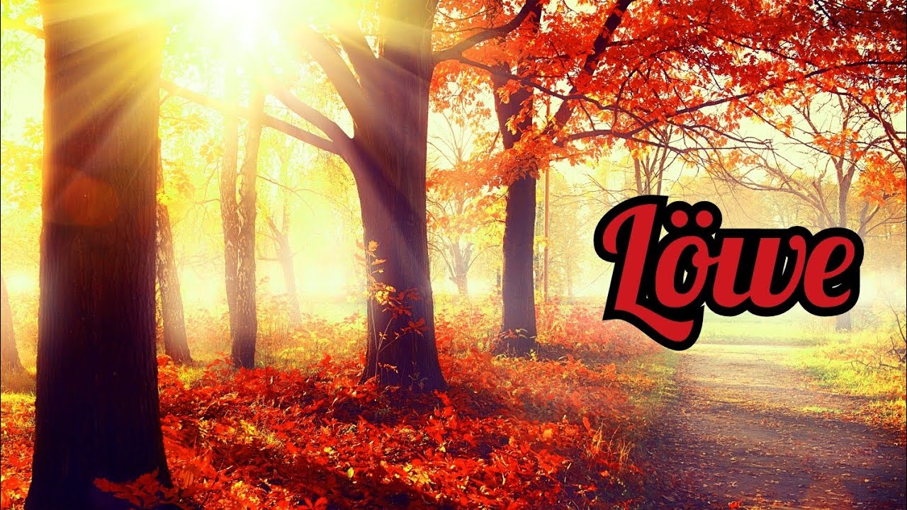 🍁Löwe//deine nächsten 3 Monate was erwartet dich🍂