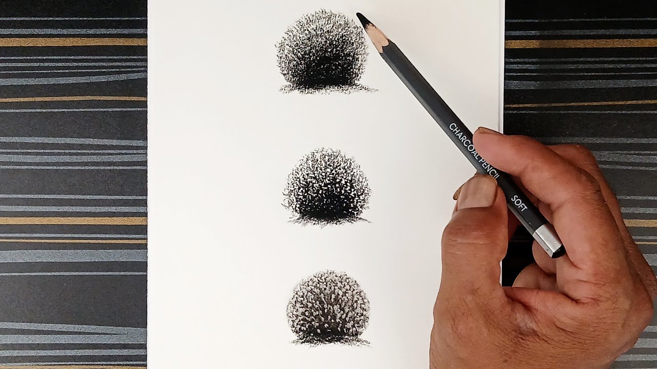 Pencil drawing of bushes in 3 easy ways.