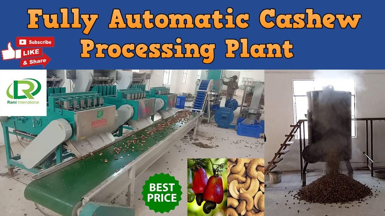 Fully Automatic Cashew Processing Plant / Cashew Processing Machine by Rami International