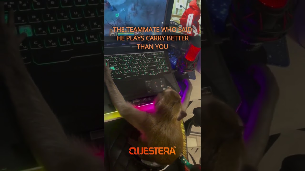 #dota2 #dota2fun