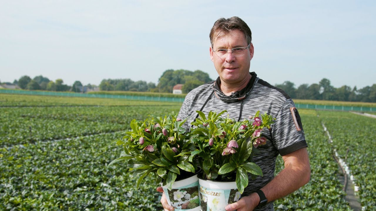 Gartenbau Frank Bosch im Rampenlicht