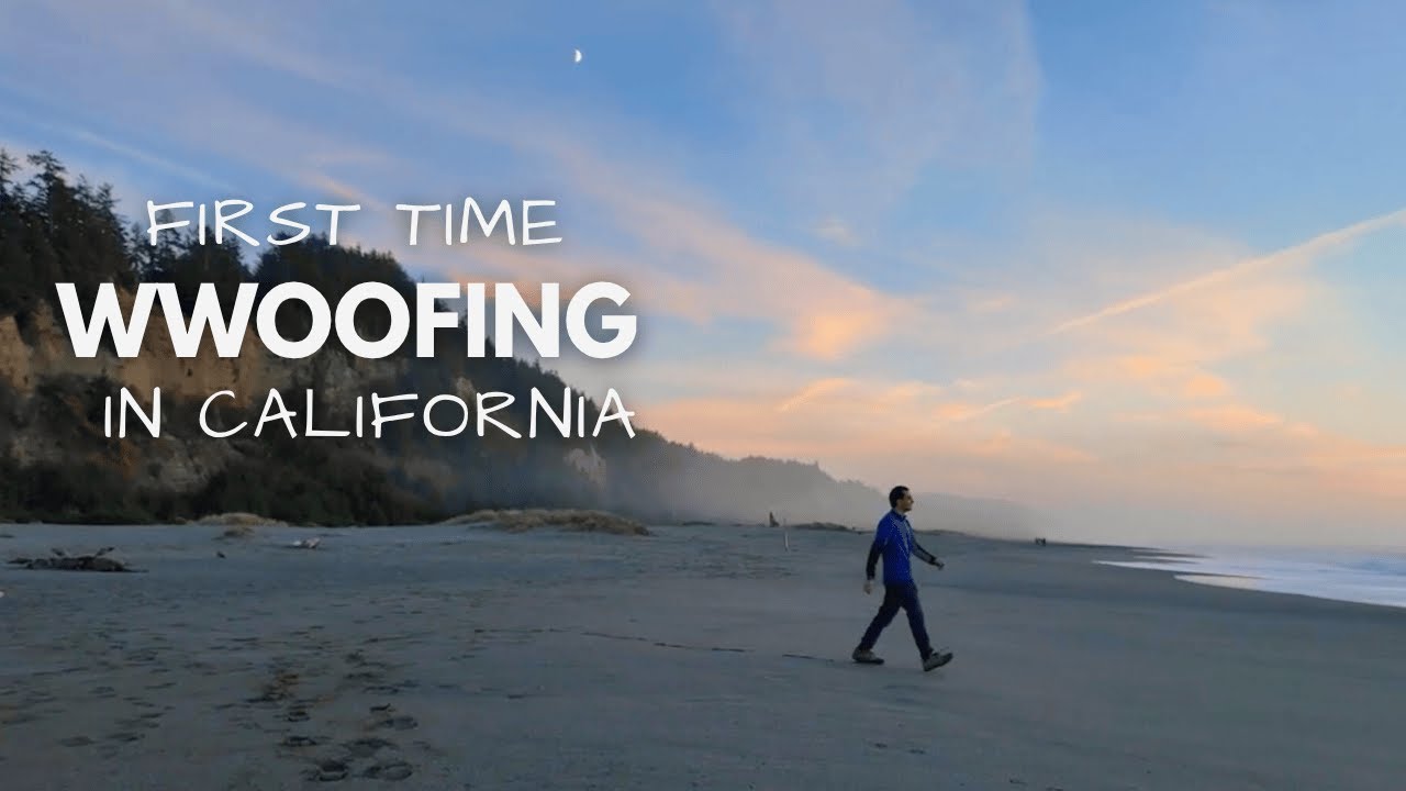 David's WWOOF Experience in California