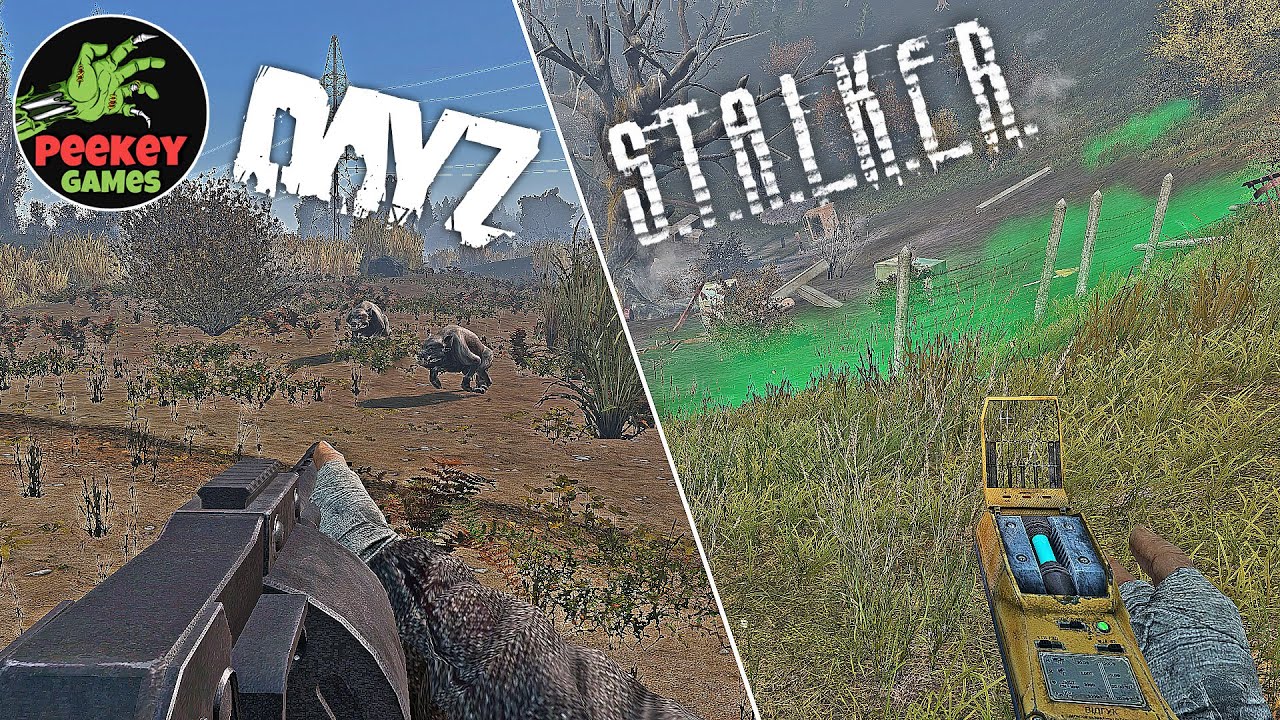 🛑 DayZ Stalker 
