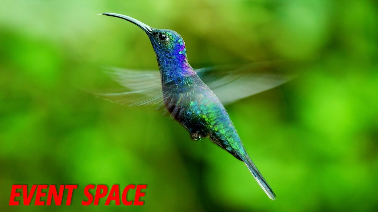 Getting up Close and Personal with Your Photos | Jeff Cable
