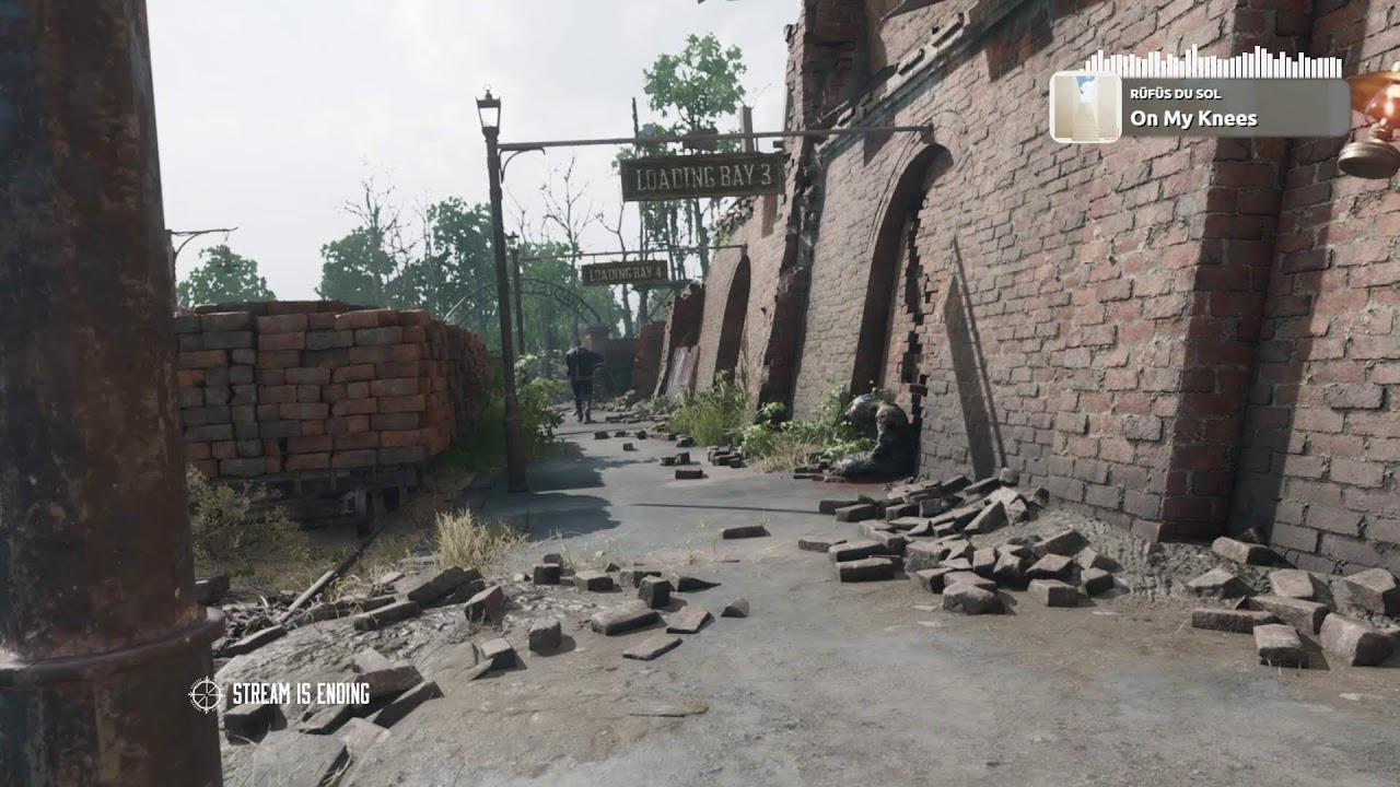 SOLO | All Ears Removed.. For Now... | 14,000Hrs Ask Me Anything!