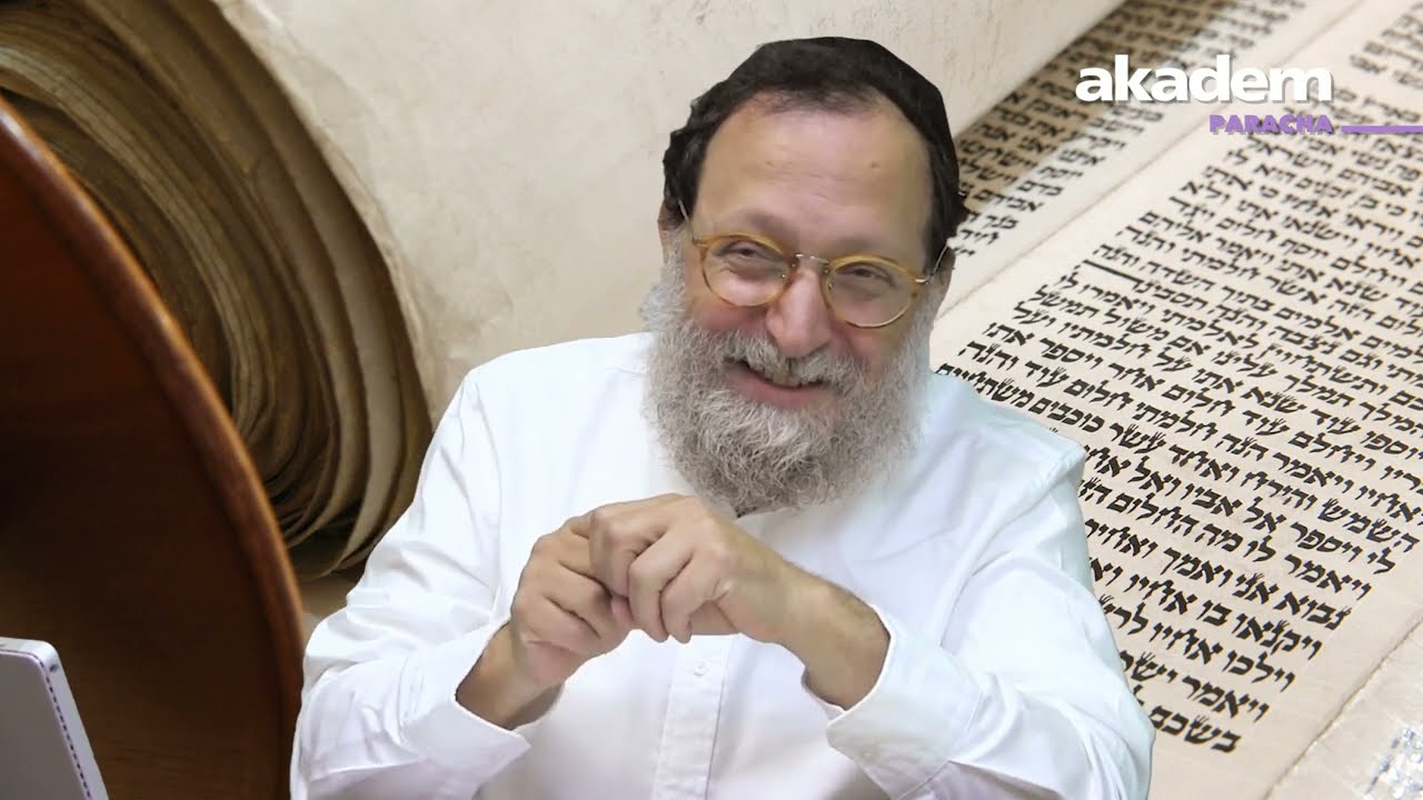 Noa'h : spectateur de la fin du monde