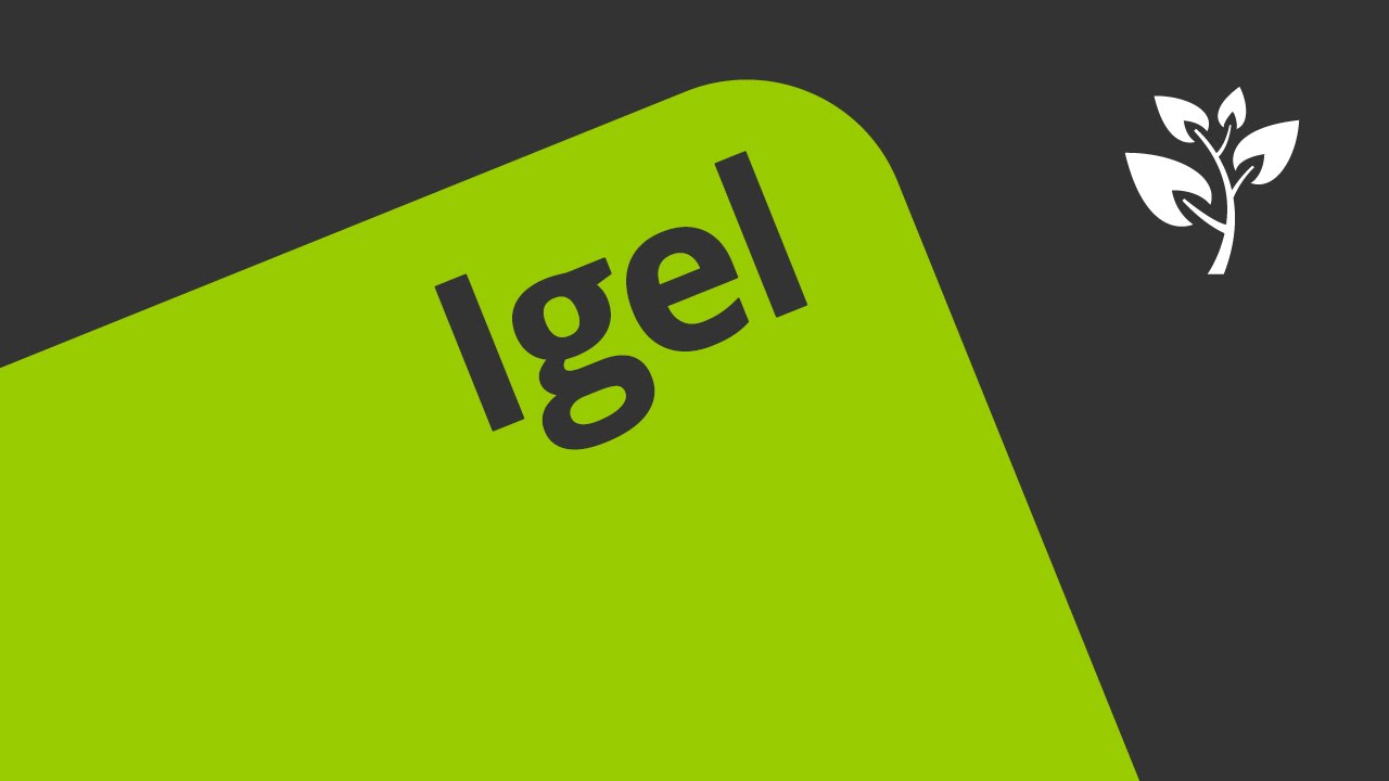 Der Igel im Winter | Biologie | Tiere