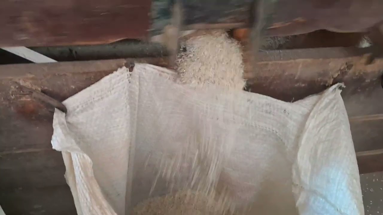 veja como funciona uma máquina de limpar arroz