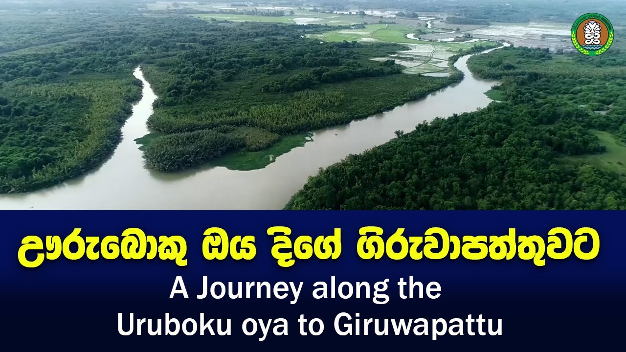 ඌරුබොකු ඔය දිගේ ගිරුවාපත්තුවට I A Journey along the Uruboku oya to Giruwapattu
