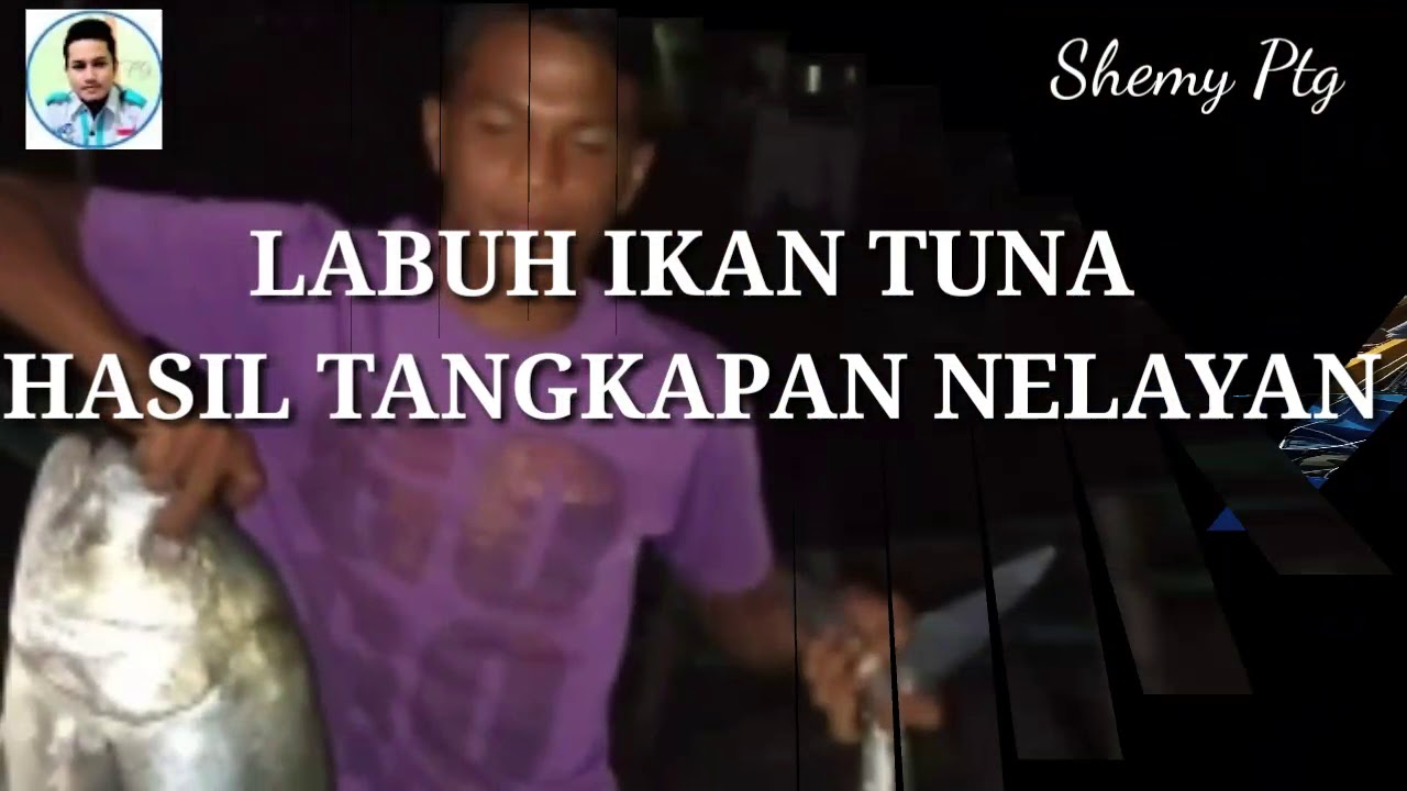 LABUH PUKAT IKAN TUNA BESAR DAN IKAN DENCIS
