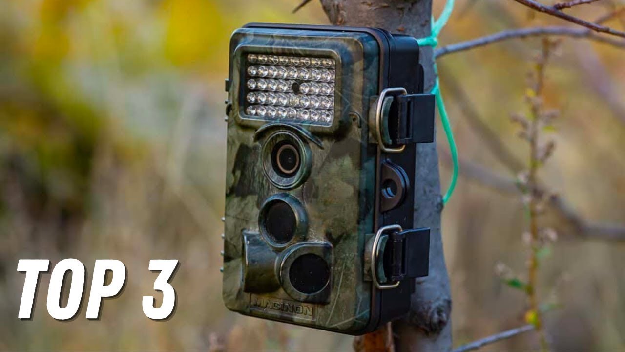 TOP 3 : Meilleure Caméra Chasse 2025