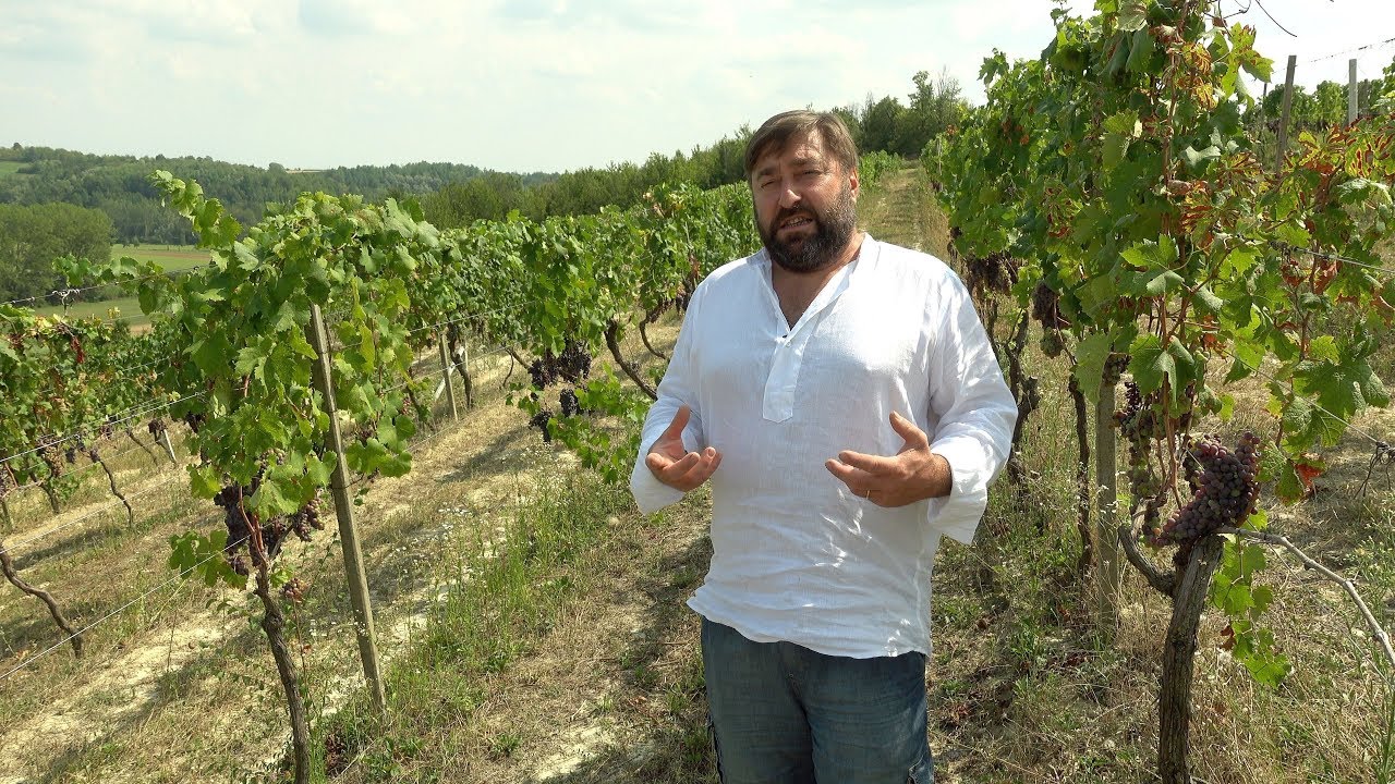 In vino veritas Ep. 2 : viticoltura S.A.I.N.S. nel Monferrato