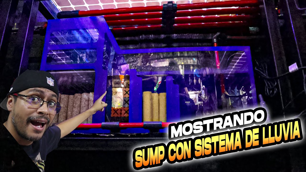 Los Sumps de Acrílico del Nuevo Local estilo Asiatico
