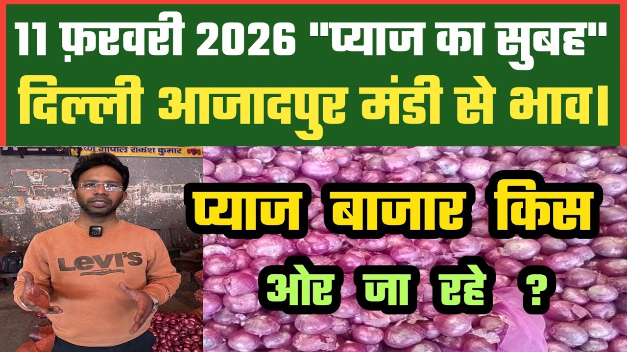 प्याज के बाजारों में सुधार ? Azadpur Delhi Mandi Today में 11-02-2026 के Onion Price DMT TV