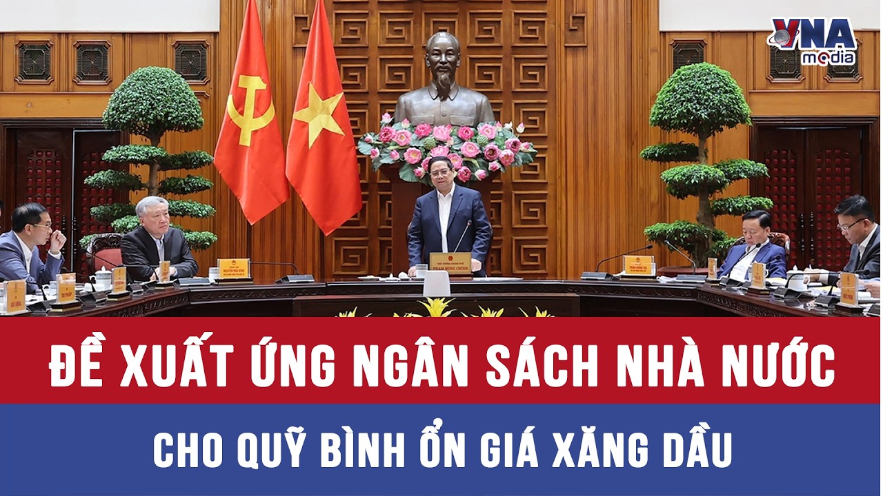 Thủ tướng đồng ý đề xuất ứng ngân sách Nhà nước cho Quỹ bình ổn giá xăng dầu - VNAMedia