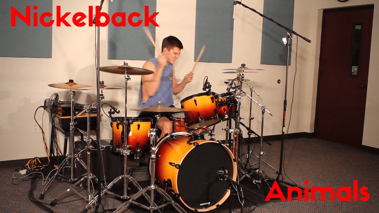 Nickelback- Animals- Drum Cover