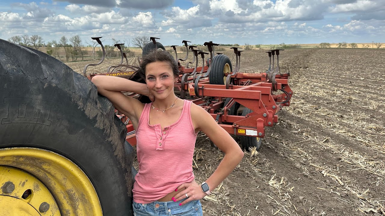 Plowing Our Crops Up For A Road