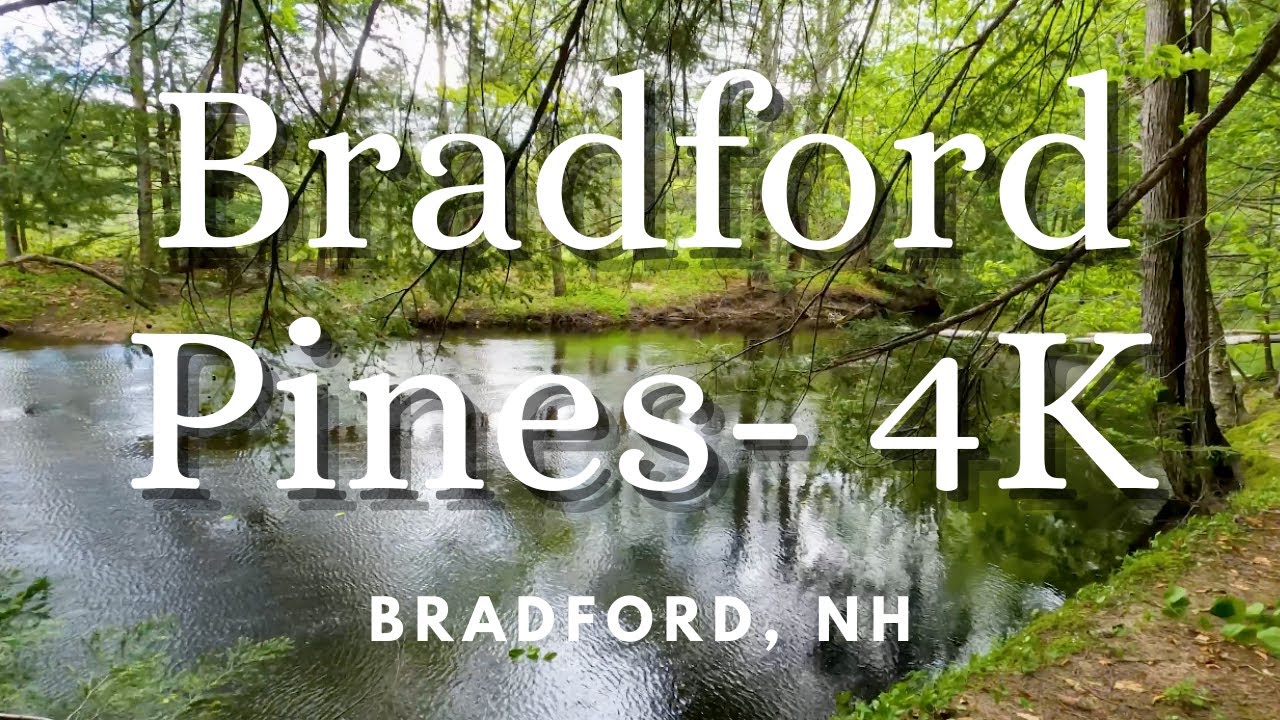 Bradford Pines: Hiking a Beautiful Forest in New Hampshire
