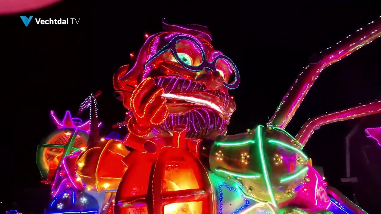 Verlichte carnavalsoptocht Lemelerveld