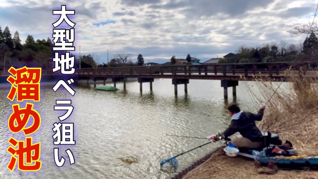 厳寒期の有力ポイント！大型地ベラが釣れると噂の溜め池でへらぶな釣りしてみた【宮島池】