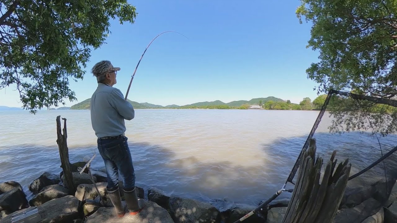 琵琶湖に巨鯉を探る2024 1